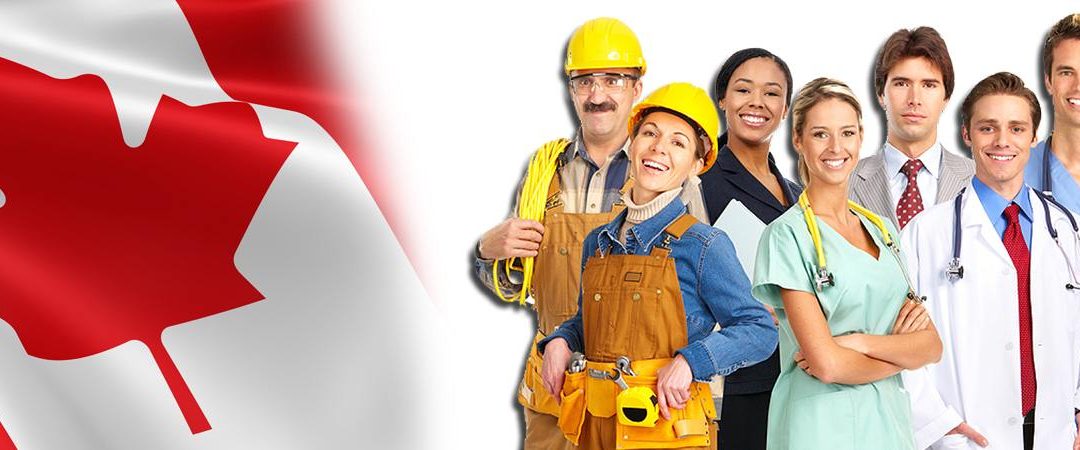Tips for finding a job in your profession – Canadian Bay Immigration